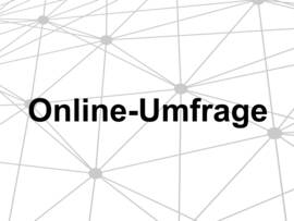 Online-Umfrage